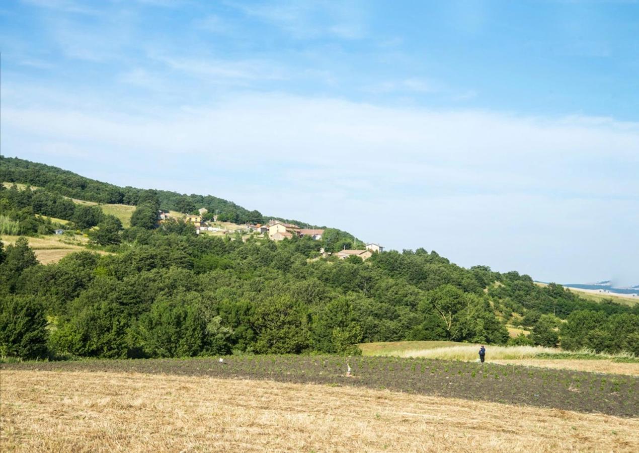Le Pitture Casa Di Campagna Filiano Exterior photo